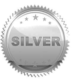 Open Data Quality : Silver